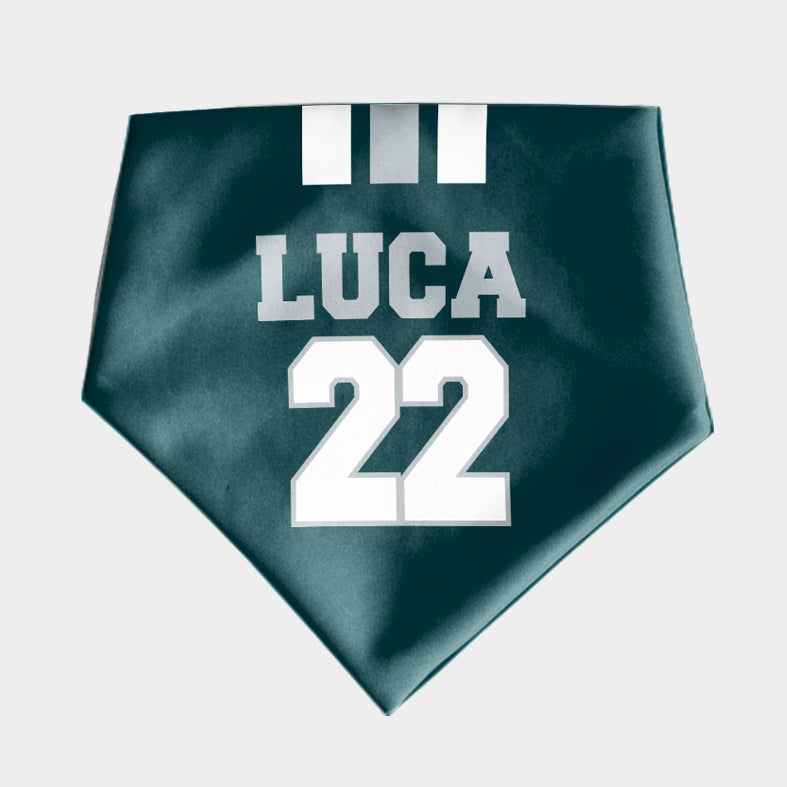Bandana NFL Philadelphia Eagles