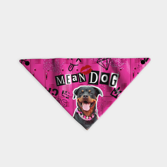Bandana Mean Dog