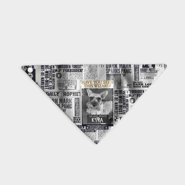 Bandana Ravenclaw